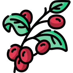 coffee-plant-icon